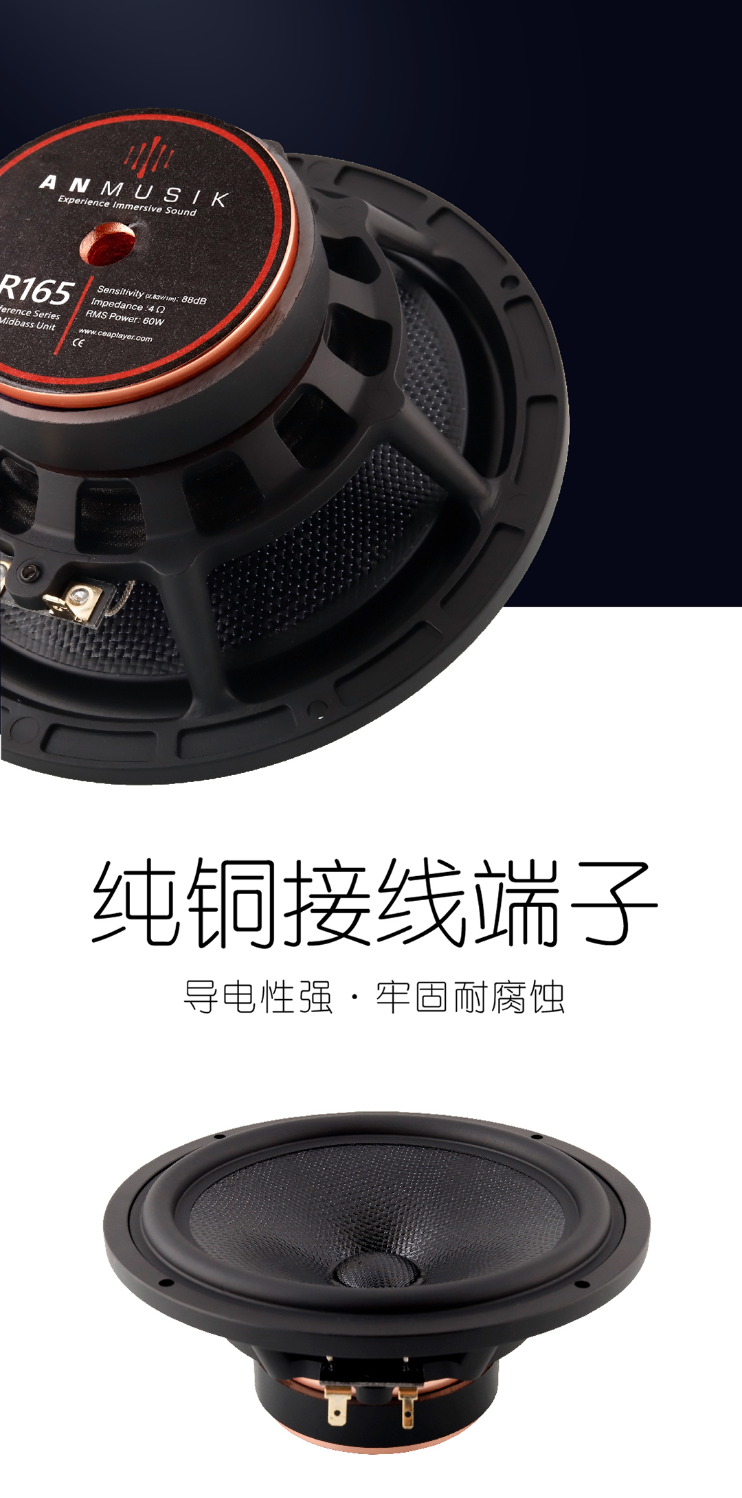 R604.jpg