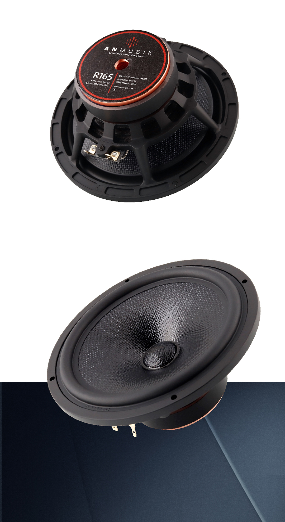 R605.jpg